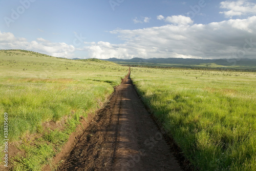 Dirt road to infinity through green grasslands of Lewa Wildlife Conservancy in North Kenya, Africa