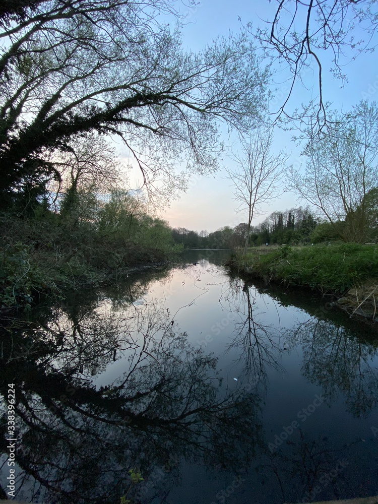 reflection of trees in the water