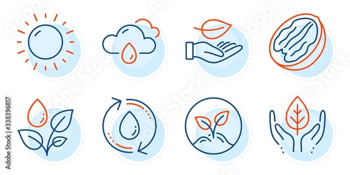Refill water, Fair trade and Startup signs. Leaf, Sunny weather and Rainy weather line icons set. Pecan nut, Plants watering symbols. Plant care, Sun. Nature set. Outline icons set. Vector