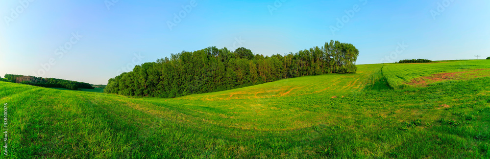 green meadow under the blue sky green meadow under the blue sky
