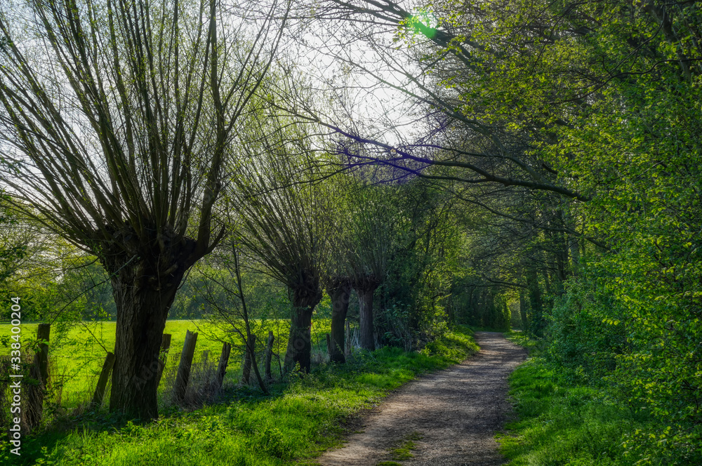 Wanderweg am Rhein bei Friemersheim