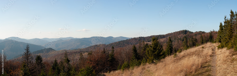 Carpathian mountains. Ukraine. View mountains in golden autumn. Beautiful nature landscape.