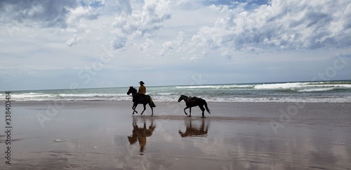 Cowboy with two horses in a beautiful beach