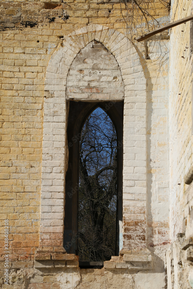 view through an old window to the forest