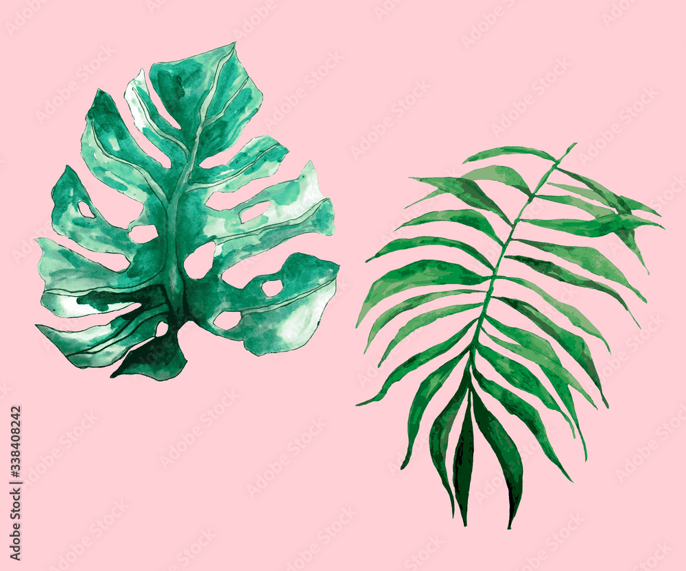 Obraz Tropical Leaf Patterns with a Smochromatic Feel