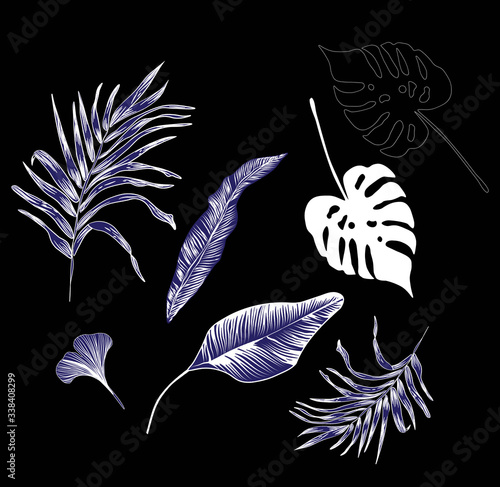 simplified blue black tropical pattern