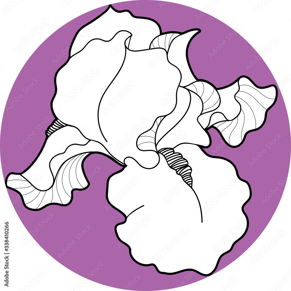 iris flawers in the circle hand draw iris flawers in the circle hand draw