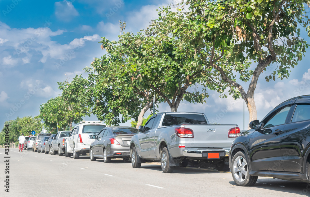 Cars parked in a row on street side under trees. business cars parking on road side
