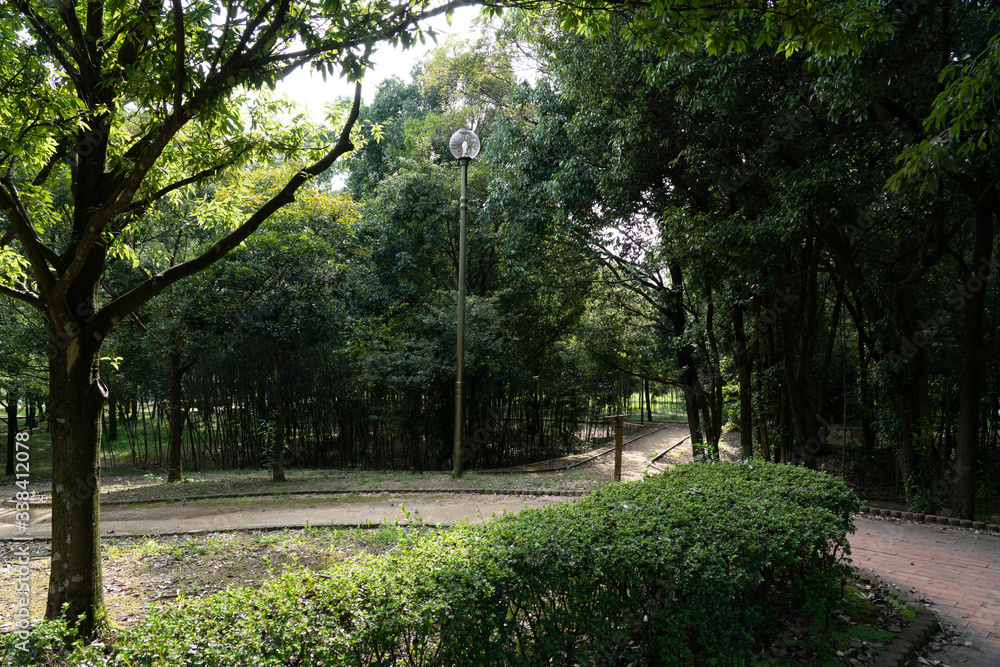 緑の中の道 緑の中の道