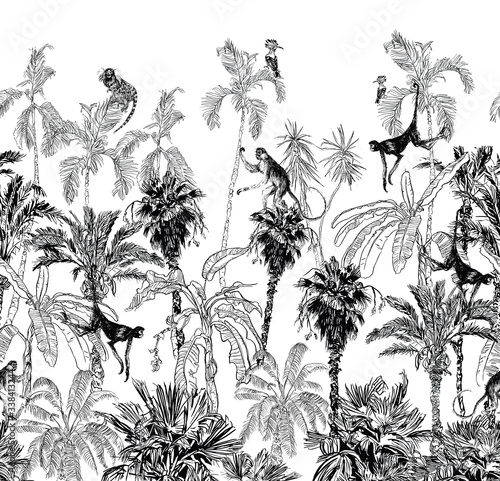 Seamless Border Black and White Monkey Animals Climbing on Palm Trees Tropical Jungle, Panorama View Landscape Wildlife in Jungle Trees, Banana and Dragon Tree, Etching Illustration Tropics