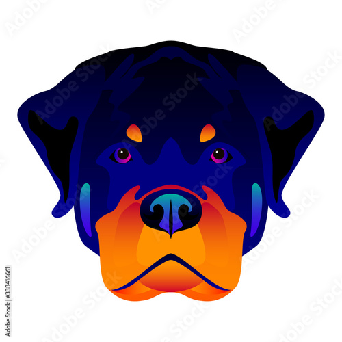 Abstract rottweiler dog head isolated on white. Graphic cartoon rottweiler dog portrait painted in imaginary colors for design card, invitation, banner, book, scrapbook, t-shirt, poster etc.