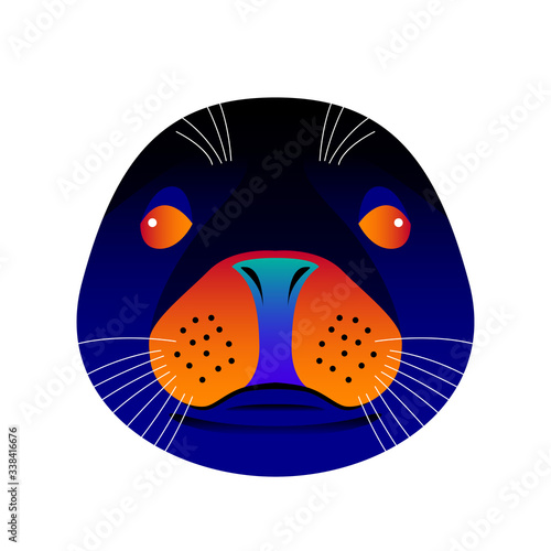 Abstract seal head isolated on white. Graphic cartoon seal portrait painted in imaginary colors for design card, invitation, banner, book, scrapbook, t-shirt, poster, scetchbook, album etc. photo