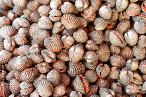 A pile of Fresh Cockle sold in the fresh market