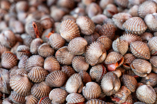 A pile of Fresh Cockle sold in the fresh market