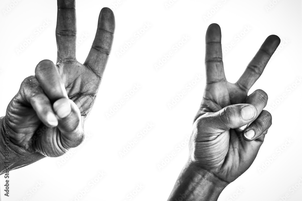 main, isolé, blanc, poing, doigt, bras, humain, geste, pouce, signes, main, affaires, poignée de main, gens, doigt, symbole, un, noir, puissance, cale, deux, amitié, corps, peau, trois, duel, esthétiq - obrazy, fototapety, plakaty 
