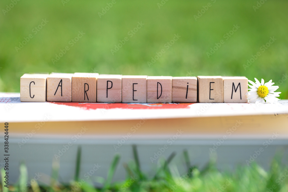 Wooden cubes with the words Carpe Diem, meaning seize the day, in green ...