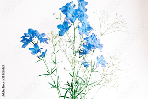 かすみ草