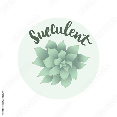 Succulent echeveria vector illustration with hand drawn lettering. Indoor plant top view. Can use for banner, sticker, poster, advertising, element of design template, cards and prints.