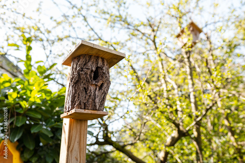 Birdhouse on wooden post in garden, sunny weather