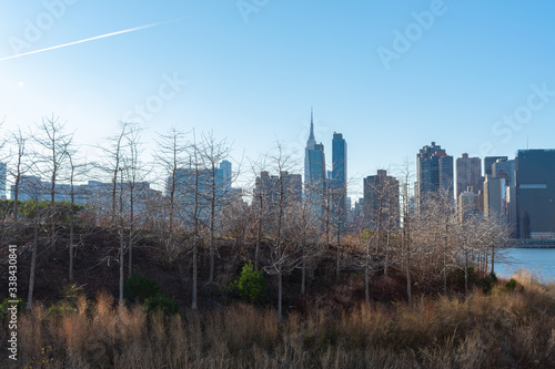 Hunter's Point South Park in Long Island City Queens with a view of the Manhattan New York City Skyline