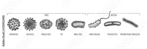 Hand drawn set of different virus and bacteria.