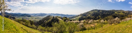 Panorama auf dem Hexensteig bei Laudenbach im Schwarzwald