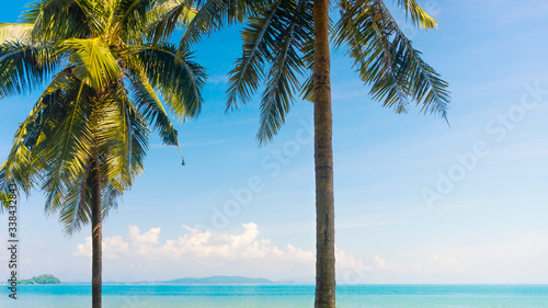 Paradise Sunny beach with palms and turquoise sea. 