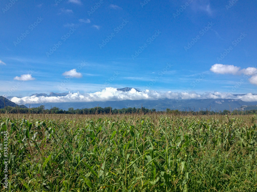 Rhone Alps Countryside