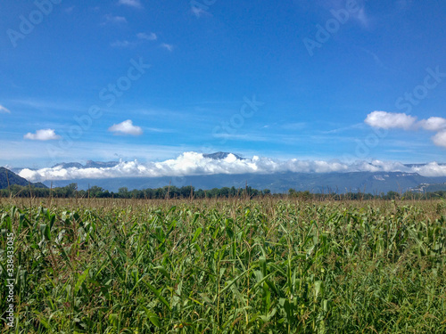 Obraz na płótnie Rhone Alps Countryside w salonie