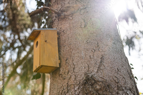 Birdhouse on tree trunk in garden, sunny weather