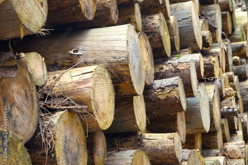 Gestapelte Fichten Baumstämme - Holzwirtschaft Gestapelte Fichten Baumstämme - Holzwirtschaft