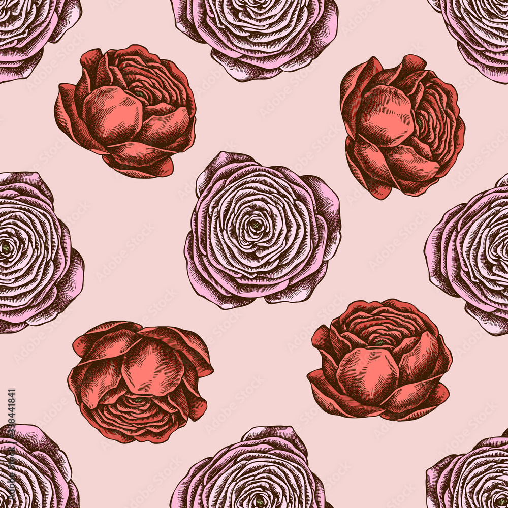 Seamless pattern with hand drawn colored ranunculus Seamless pattern with hand drawn colored ranunculus