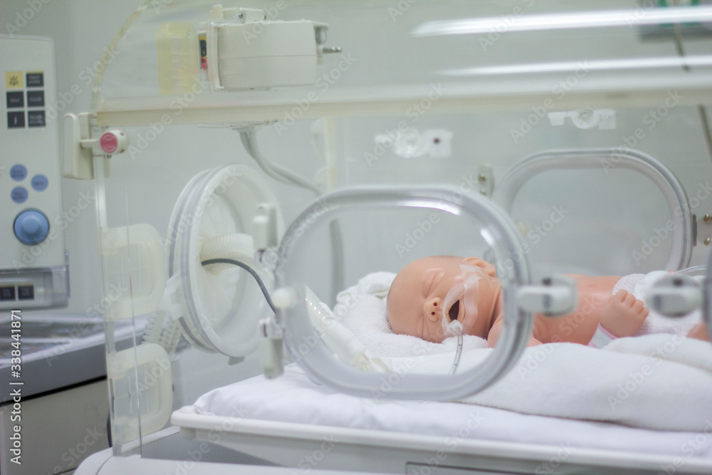 Model newborn in the hospital. Pediatric Department Model newborn in the hospital. Pediatric Department