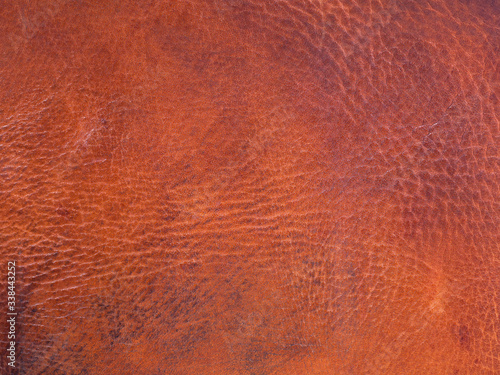 Wallpaper Mural Old orange brown cattle leather texture background Torontodigital.ca