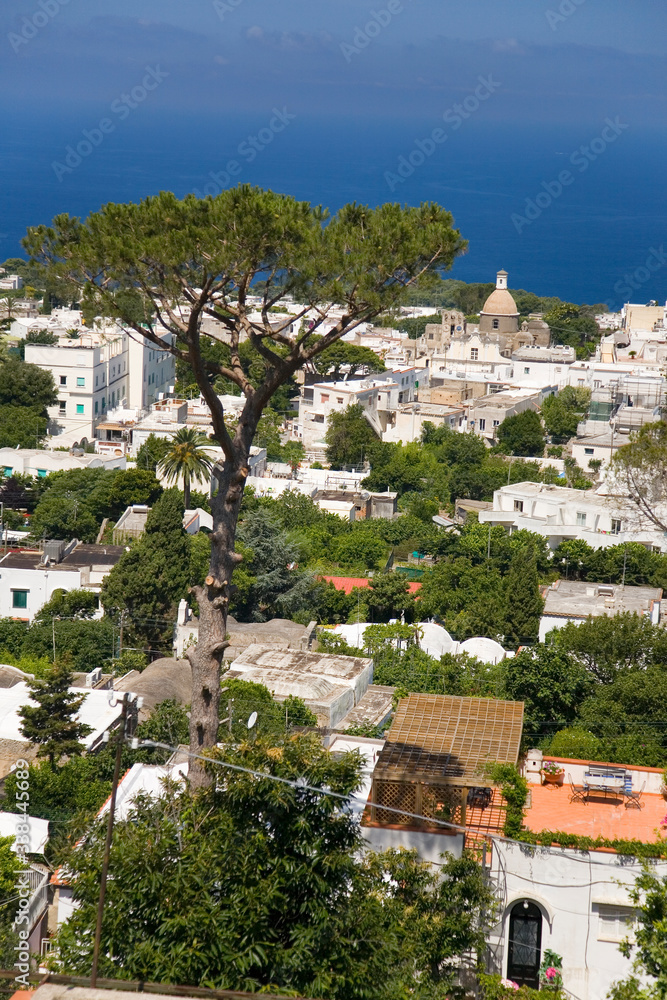 Elevated view of Capri, an Italian island off the Sorrentine Peninsula on the south side of Gulf of Naples, in the region of Campania, Province of Naples, Italy, Europe