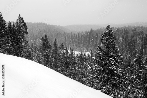 Snow-capped trees in a mountain forest from Shoshone Point in Yellowstone National Park photo