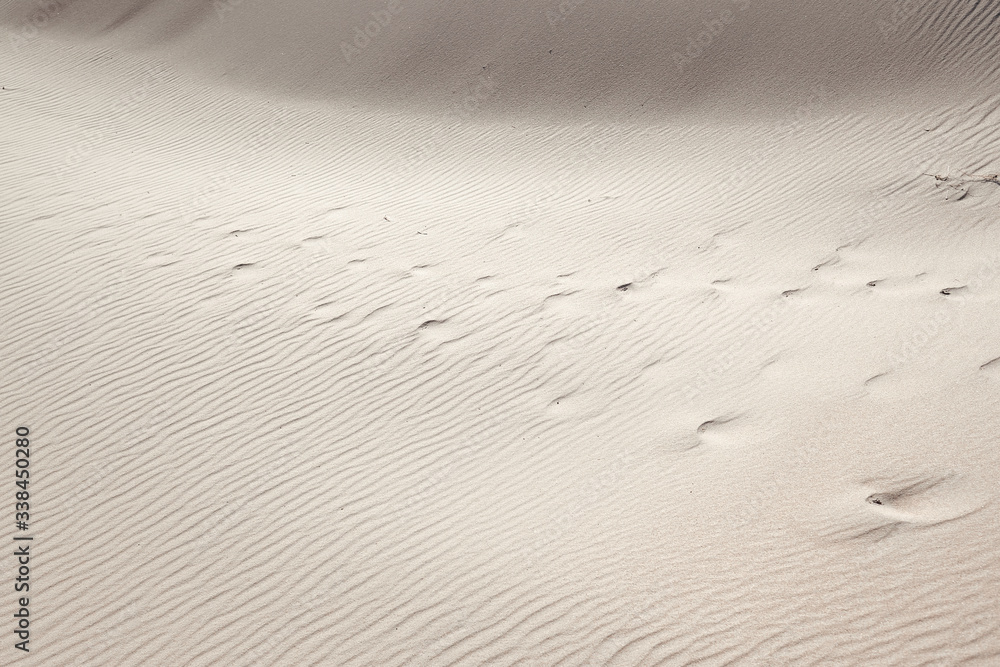 Obraz premium Desert background. Sandy dunes texture.