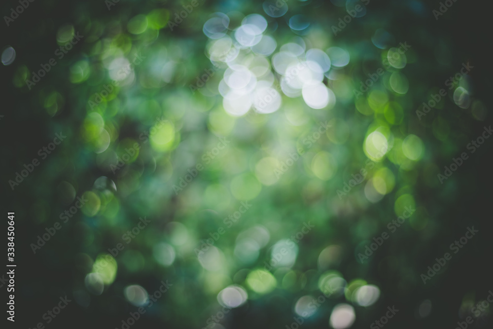 Fototapeta premium Bokeh background: Green defocused park, copy space