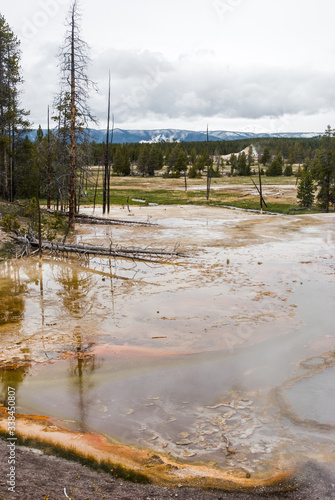 Bacteria Mats and hot spring runoff in the Firehole Lake Drive area of Yellowstone National Park