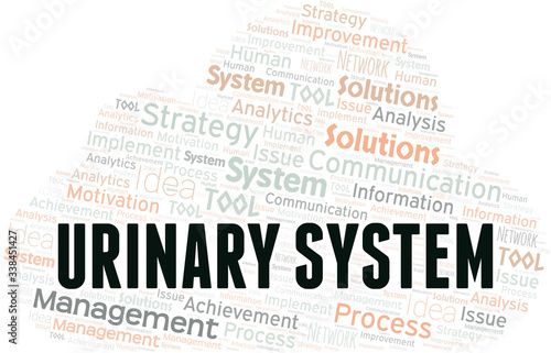 Urinary System typography vector word cloud.