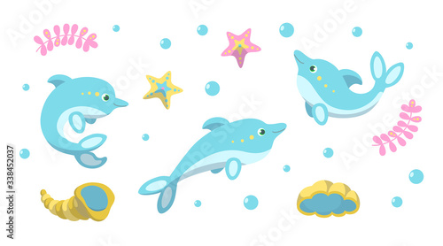 Cute dolphins, starfishes and shells on white background. Vector illustration in cartoon style