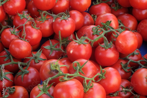 tomato  food  red  vegetable  tomatoes  fresh  ripe  healthy  isolated  fruit  organic  diet  raw  vegetables  market  white  ingredient  cherry  vegetarian  green  juicy  freshness  agriculture  vine