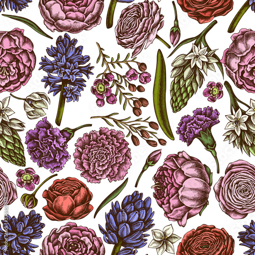Seamless pattern with hand drawn colored peony, carnation, ranunculus, wax flower, ornithogalum, hyacinth
