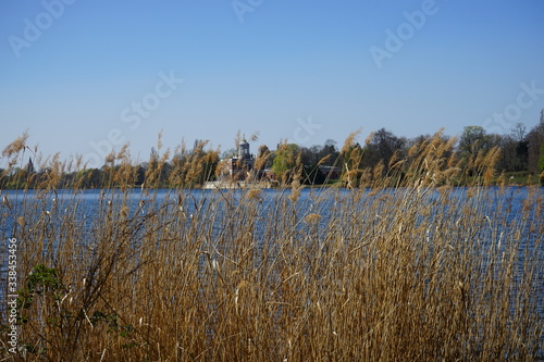 Uferlandschaft mit Schilf am Heiligen See in Potsdam