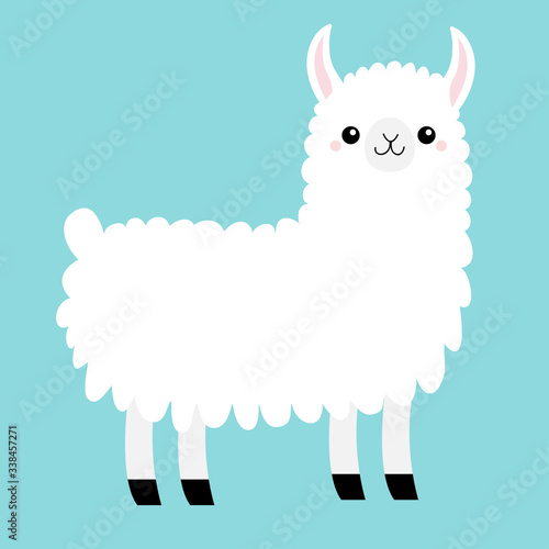 Llama Alpaca animal. Cute cartoon funny kawaii character. Baby face. Childish collection. T-shirt, greeting card, poster template print. Scandinavian style. Flat design. Blue background. Isolated.