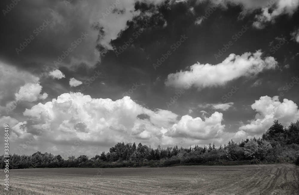 Łąka. Widok na tle pochmurnego nieba b&w