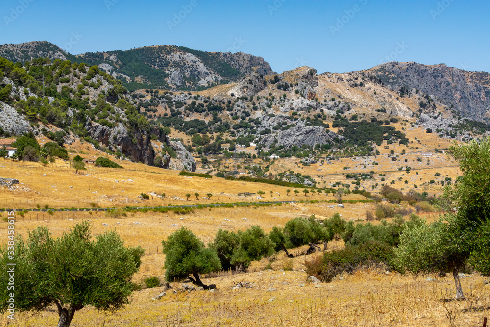 Summer in national park la Sierra de Grazalema, Andalusian white villages route in Spain