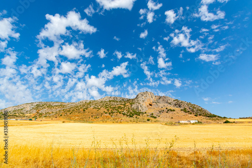 Andalusian landscape with yellow hills and blue sky with high white clouds
