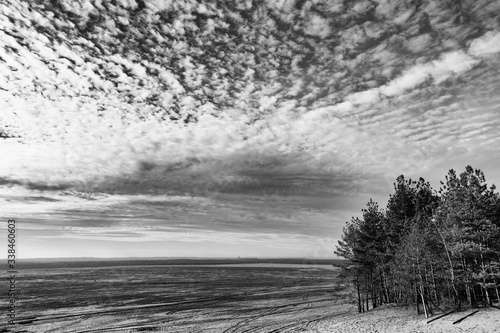 Pustynia Błędowska. Widok na tle pochmurnego nieba. b&w