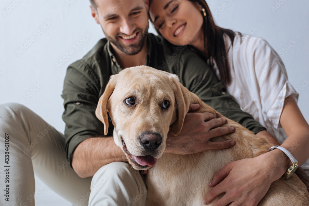 Selective focus of golden retriever near smiling young couple isolated on grey Selective focus of golden retriever near smiling young couple isolated on grey